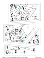 Blue Coo Wall Quilt Pattern, Foundation Paper Piecing (PDF Download)